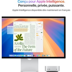 Apple Mac Mini Ordinateur de Bureau avec Puce M4, CPU 10 cœurs et GPU 10 cœurs : Conçu pour Apple Intelligence, 16Go de mémoire 