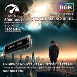 Greed®MK2 Lite - High End PC Gamer - AMD Ryzen 5 4600G + Radeon Vega 7 - Ordinateur RGB Ultra Rapide + PC Gaming 4K Raytracing a