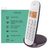 Logicom ILOA 150 Téléphone Fixe sans Fil sans Répondeur - Solo - Téléphones analogiques et dect - Aubergine