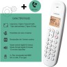 Logicom ILOA 150 Téléphone Fixe sans Fil sans Répondeur - Solo - Téléphones analogiques et dect - Taupe