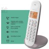 Logicom ILOA 150 Téléphone Fixe sans Fil sans Répondeur - Solo - Téléphones analogiques et dect - Taupe