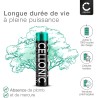 CELLONIC 2X AAA Batterie Téléphone Fixe 2X AAA 1000mAh – Compatible avec Siemens Gigaset A400, A415, C430, CL660, S810 – NiMH Re