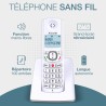 ALCATEL F530 - Téléphone Fixe Sans Fil DECT - Grand Écran Rétroéclairé - Mains Libres - Fonction Blocage Des Appels - 2 Touches 