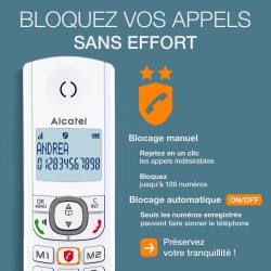 ALCATEL F530 Voice - Téléphone Fixe Sans Fil DECT Avec Répondeur - Grand Écran Rétroéclairé - Mains Libres - Fonction Blocage De