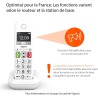 Gigaset E290 Duo - Téléphone Fixe sans Fil Blanc, 2 combinés avec Grand écran rétroéclairé, larges Touches, Fonction Blocage D'a