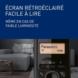 Panasonic KX-TG1612FRH Téléphone Numérique Sans Fil, Base et 2 Combinés, Identification de l'Appelant, Batterie Longue Durée, LC