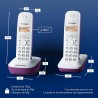 Panasonic KX-TG1612FRF Téléphone Duo sans fil DECT sans répondeur Pourpre [Version Française]