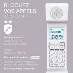 ALCATEL Epure Iconic - Téléphone Fixe sans Fil DECT - Design Vintage - Grand Écran Graphique Haute Lisibilité - Mains Libres - F