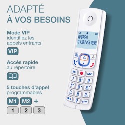 ALCATEL F530 Duo - Téléphone Fixe Sans Fil DECT - Grand Écran Rétroéclairé - Mains Libres - Fonction Blocage Des Appels - 2 Touc