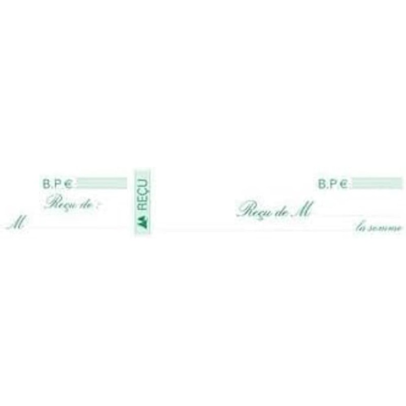 Exacompta - Réf. 25E - Paquet de 10 carnets à souche REÇUS - 50 feuillets papier chèque amagnétique 95g/m2 Clairefontaine - Chaq