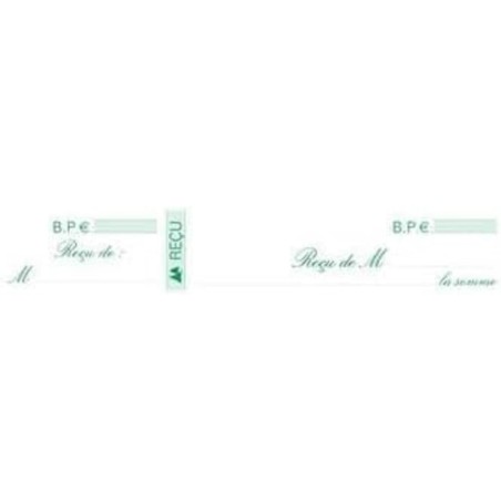 Exacompta - Réf. 25E - Paquet de 10 carnets à souche REÇUS - 50 feuillets papier chèque amagnétique 95g/m2 Clairefontaine - Chaq
