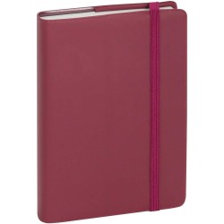 Exacompta - 15416E - Agenda de poche Journal 15 quadrillé Plastique - Fermeture par élastique - 9 x 14,6 cm - Janvier à décembre