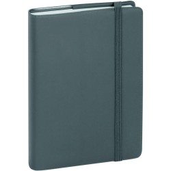 Exacompta - 15416E - Agenda de poche Journal 15 quadrillé Plastique - Fermeture par élastique - 9 x 14,6 cm - Janvier à décembre
