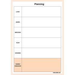 Bloc note To do list ou Planning semaine bleu ou marron 52 pages détachables A5 15x21 cm (Planning marron)
