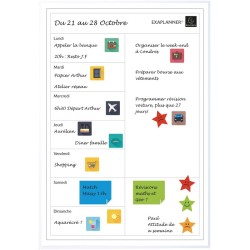 Exacompta - Réf. 58160E - 1 tableau blanc magnétique planning d'organisation Perso - effaçable à sec - magnets réinscriptibles f