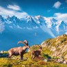 NOTIQUE Calendrier mural 2026 Alpes, brochures avec calendrier mensuel, 30 x 30 cm, 30 x 60 cm, ouvert
