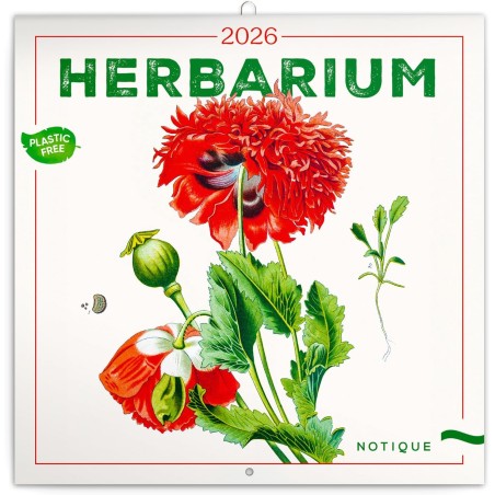 NOTIQUE Calendrier mural 2026 Herbier, sans plastique, avec calendrier mensuel, calendrier brochure, 30 x 30 cm, 30 x 60 cm, ouv