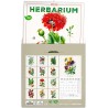 NOTIQUE Calendrier mural 2026 Herbier, sans plastique, avec calendrier mensuel, calendrier brochure, 30 x 30 cm, 30 x 60 cm, ouv
