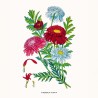 NOTIQUE Calendrier mural 2026 Herbier, sans plastique, avec calendrier mensuel, calendrier brochure, 30 x 30 cm, 30 x 60 cm, ouv