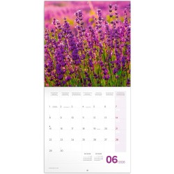 NOTIQUE Calendrier mural 2026 Provence - Avec brochures mensuelles - 30 x 30 cm (30 x 60 cm ouvert)
