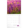 NOTIQUE Calendrier mural 2026 Provence - Avec brochures mensuelles - 30 x 30 cm (30 x 60 cm ouvert)