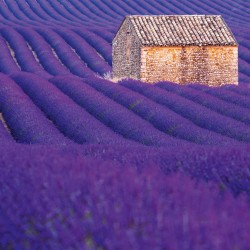 NOTIQUE Calendrier mural 2026 Provence - Avec brochures mensuelles - 30 x 30 cm (30 x 60 cm ouvert)