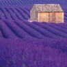 NOTIQUE Calendrier mural 2026 Provence - Avec brochures mensuelles - 30 x 30 cm (30 x 60 cm ouvert)