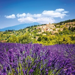 NOTIQUE Calendrier mural 2026 Provence - Avec brochures mensuelles - 30 x 30 cm (30 x 60 cm ouvert)