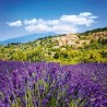 NOTIQUE Calendrier mural 2026 Provence - Avec brochures mensuelles - 30 x 30 cm (30 x 60 cm ouvert)
