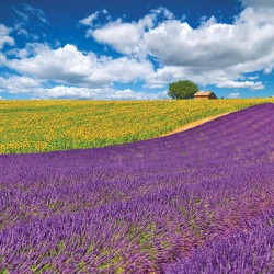 NOTIQUE Calendrier mural 2026 Provence - Avec brochures mensuelles - 30 x 30 cm (30 x 60 cm ouvert)