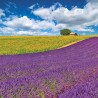 NOTIQUE Calendrier mural 2026 Provence - Avec brochures mensuelles - 30 x 30 cm (30 x 60 cm ouvert)