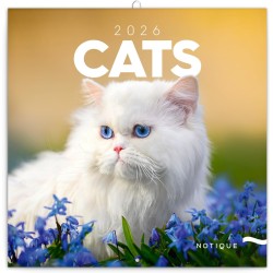 NOTIQUE Calendrier mural 2026 - Calendrier brochure avec calendrier mensuel - Motif chats - 30 x 30 cm (30 x 60 cm) ouvert
