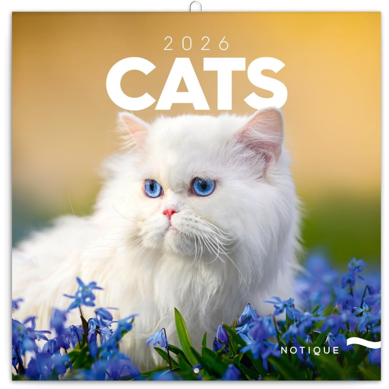 NOTIQUE Calendrier mural 2026 - Calendrier brochure avec calendrier mensuel - Motif chats - 30 x 30 cm (30 x 60 cm) ouvert