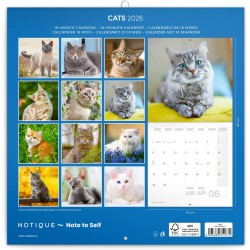 NOTIQUE Calendrier mural 2026 - Calendrier brochure avec calendrier mensuel - Motif chats - 30 x 30 cm (30 x 60 cm) ouvert