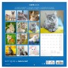 NOTIQUE Calendrier mural 2026 - Calendrier brochure avec calendrier mensuel - Motif chats - 30 x 30 cm (30 x 60 cm) ouvert