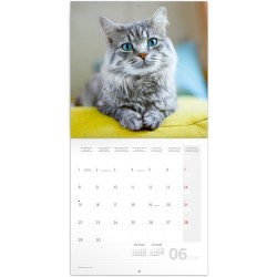 NOTIQUE Calendrier mural 2026 - Calendrier brochure avec calendrier mensuel - Motif chats - 30 x 30 cm (30 x 60 cm) ouvert