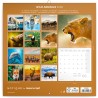 NOTIQUE Calendrier mural 2026 avec brochures d'animaux sauvages avec calendrier mensuel, 30 x 30 cm, 30 x 60 cm, ouvert
