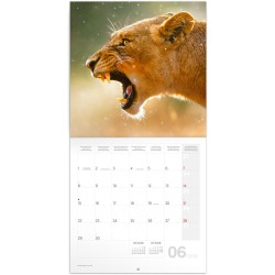 NOTIQUE Calendrier mural 2026 avec brochures d'animaux sauvages avec calendrier mensuel, 30 x 30 cm, 30 x 60 cm, ouvert