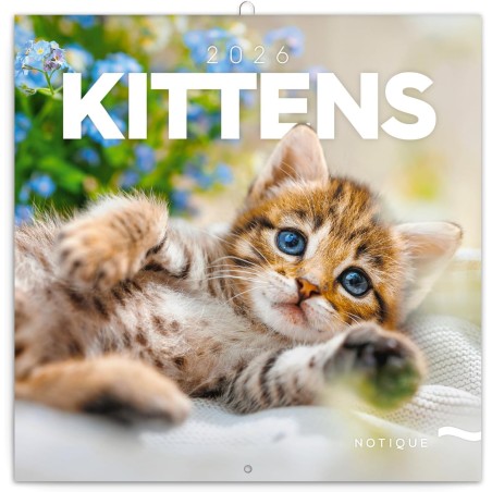 NOTIQUE Calendrier mural 2026 avec brochures de chatons - Calendrier mensuel - 30 x 30 cm (30 x 60 cm ouvert)