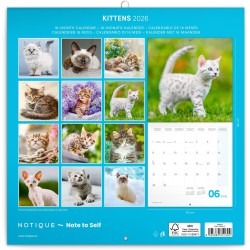NOTIQUE Calendrier mural 2026 avec brochures de chatons - Calendrier mensuel - 30 x 30 cm (30 x 60 cm ouvert)