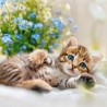 NOTIQUE Calendrier mural 2026 avec brochures de chatons - Calendrier mensuel - 30 x 30 cm (30 x 60 cm ouvert)