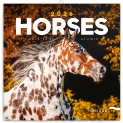 NOTIQUE Calendrier mural 2026 - Motif chevaux - Avec calendrier mensuel - 30 x 30 cm (30 x 60 cm) ouvert