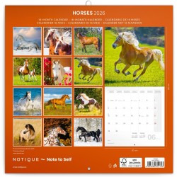 NOTIQUE Calendrier mural 2026 - Motif chevaux - Avec calendrier mensuel - 30 x 30 cm (30 x 60 cm) ouvert