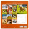 NOTIQUE Calendrier mural 2026 - Motif chevaux - Avec calendrier mensuel - 30 x 30 cm (30 x 60 cm) ouvert