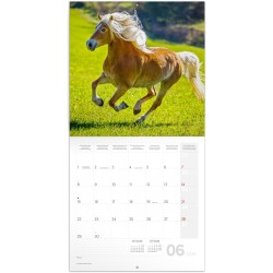 NOTIQUE Calendrier mural 2026 - Motif chevaux - Avec calendrier mensuel - 30 x 30 cm (30 x 60 cm) ouvert