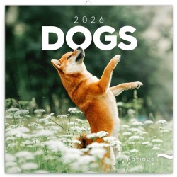 NOTIQUE Calendrier mural 2026 - Motif chiens - Avec brochures mensuelles - 30 x 30 cm (30 x 60 cm) ouvert