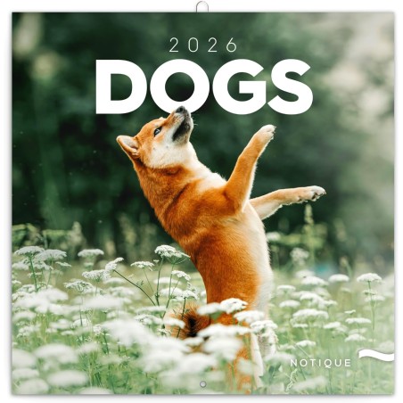 NOTIQUE Calendrier mural 2026 - Motif chiens - Avec brochures mensuelles - 30 x 30 cm (30 x 60 cm) ouvert