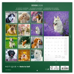 NOTIQUE Calendrier mural 2026 - Motif chiens - Avec brochures mensuelles - 30 x 30 cm (30 x 60 cm) ouvert
