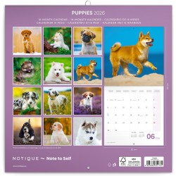NOTIQUE Calendrier mural 2026 chiots - Calendrier brochure avec calendrier mensuel - 30 x 30 cm (30 x 60 cm ouvert)