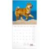 NOTIQUE Calendrier mural 2026 chiots - Calendrier brochure avec calendrier mensuel - 30 x 30 cm (30 x 60 cm ouvert)